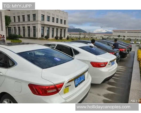 揭开足球明星卡片的神秘面纱一场精彩的拆箱体验与收藏之旅