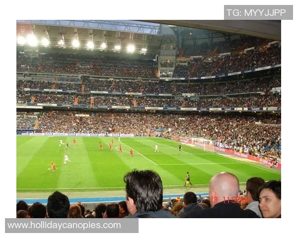 河源足球明星阵容全景展示与精彩瞬间回顾