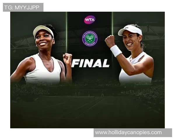 网球深度：解密广州网球队的节奏