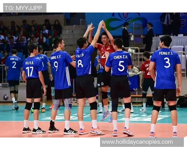 排球热议：成都排球队的战术争议