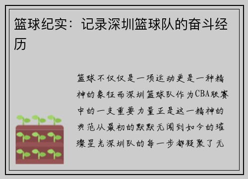 篮球纪实：记录深圳篮球队的奋斗经历