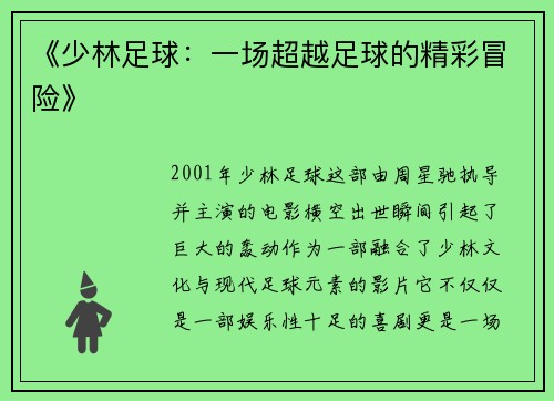 《少林足球：一场超越足球的精彩冒险》