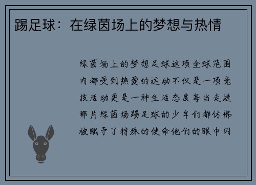 踢足球：在绿茵场上的梦想与热情