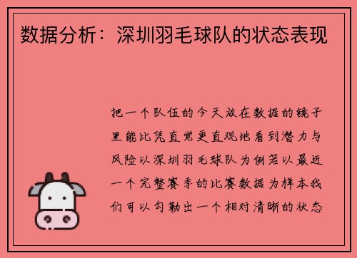 数据分析：深圳羽毛球队的状态表现